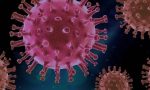 Korona Virüs Tedbirleri
